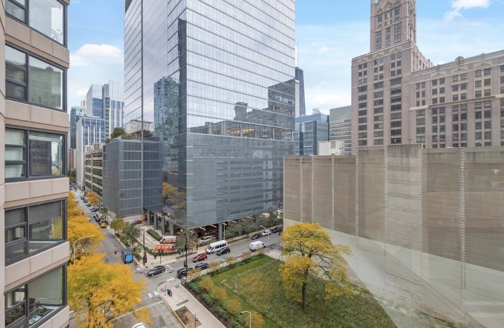 401 E Ontario Street - Photo 15