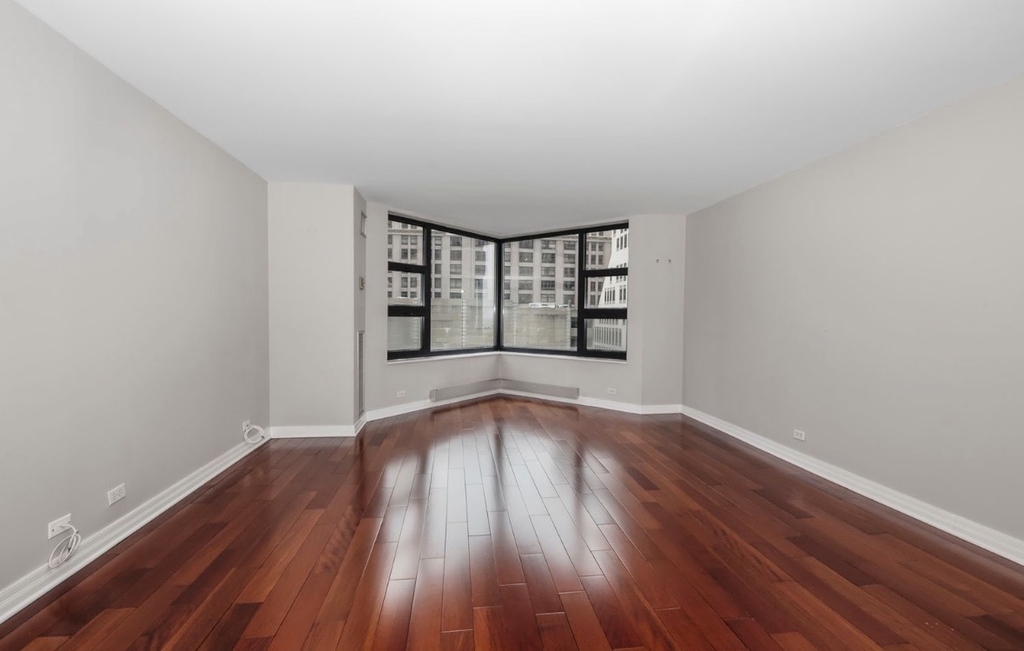 401 E Ontario Street - Photo 3
