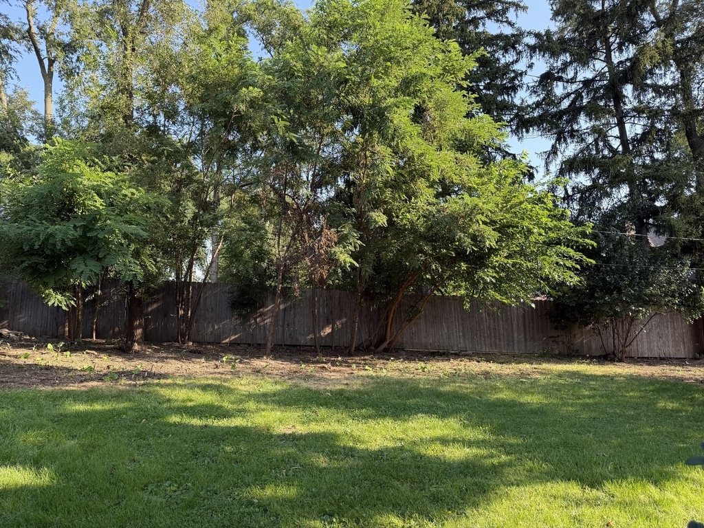 266 S Prospect Avenue - Photo 21