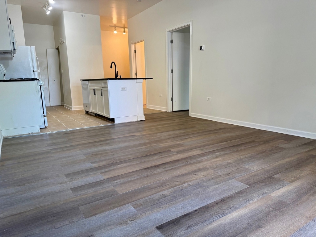 1351 S Halsted Street - Photo 1