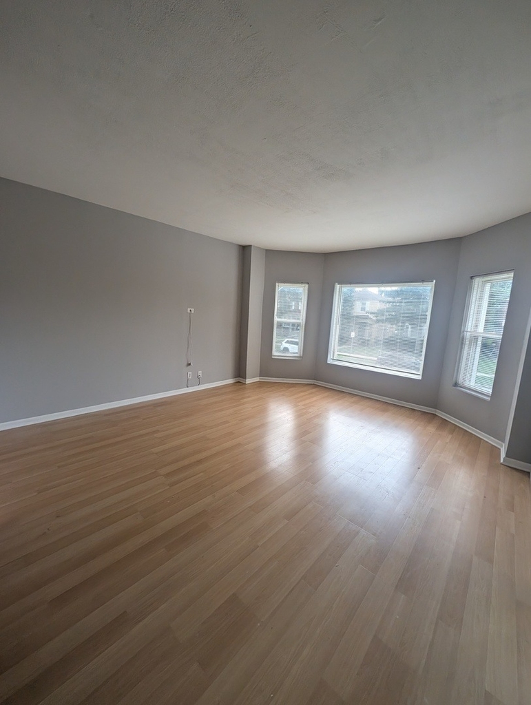 9211 S Laflin Street - Photo 2