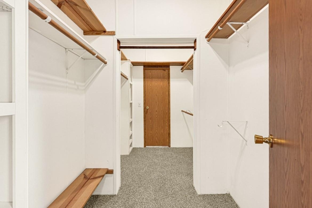 26410 Country Woods Trail - Photo 16
