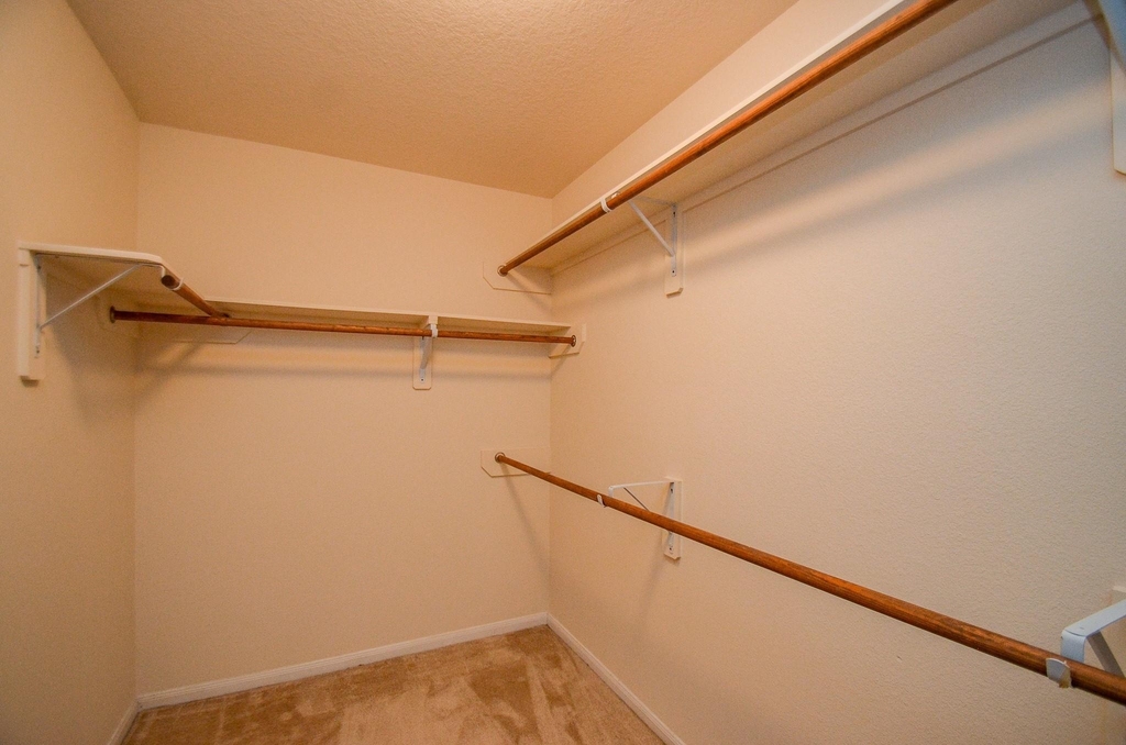 12506 Greencanyon Drive - Photo 12