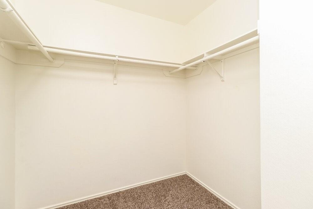11710 Sandy Stream Drive - Photo 10