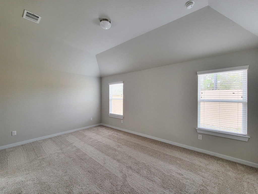 902 Cold Snow Drive - Photo 30
