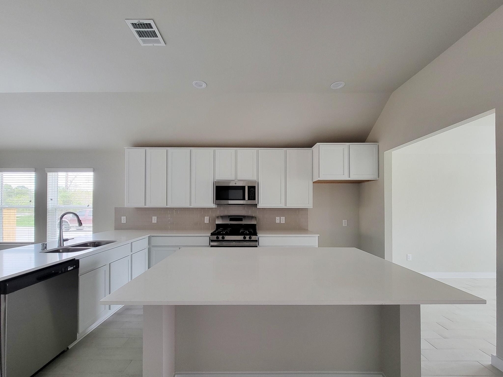 902 Cold Snow Drive - Photo 13