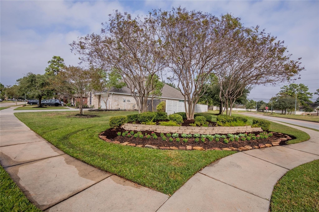 19302 Dolan Springs Drive - Photo 4