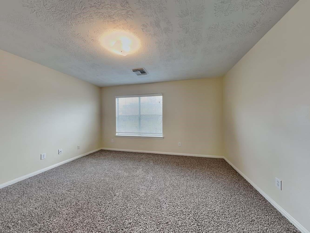 1003 Redcrest Springs Court - Photo 14