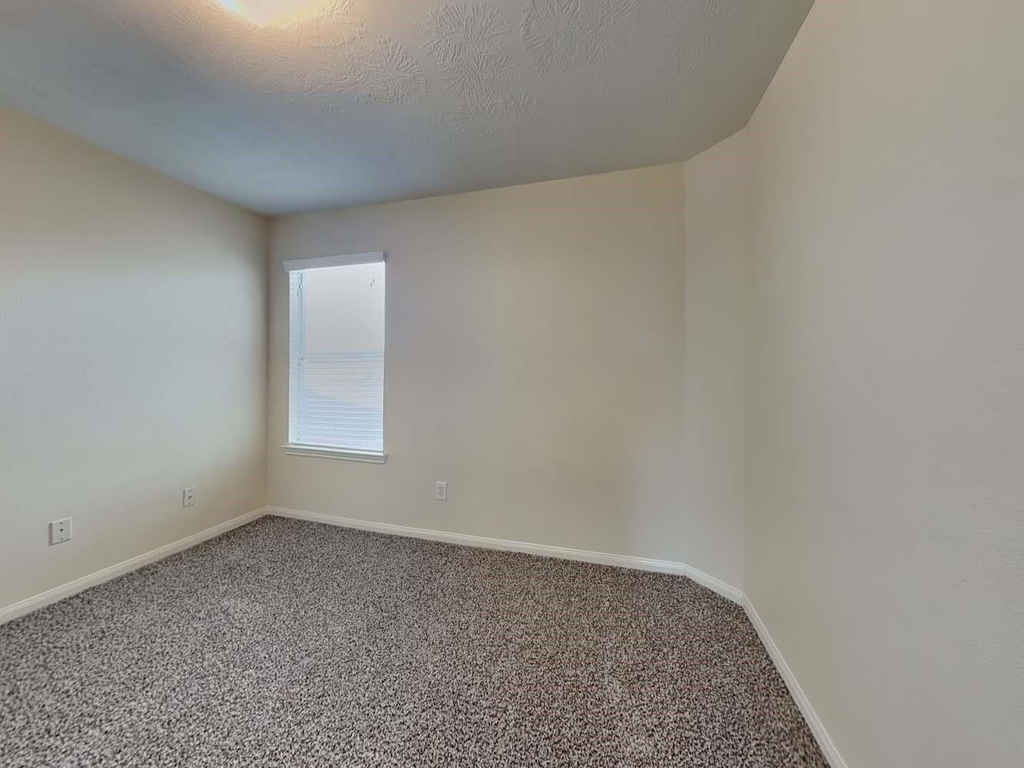 1003 Redcrest Springs Court - Photo 10