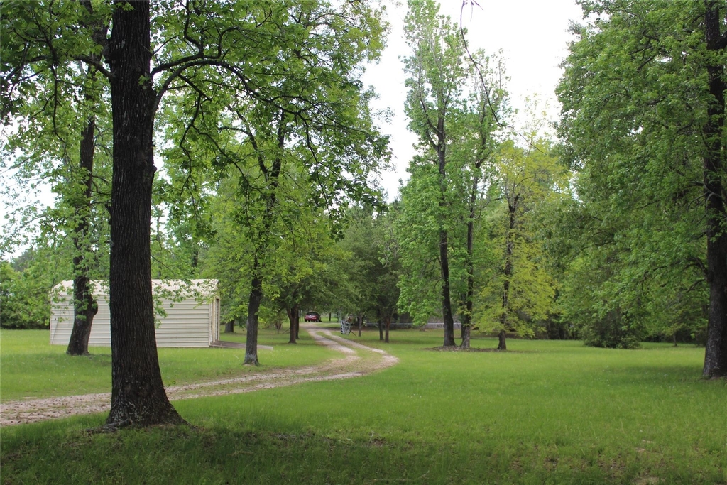 9103 Pine Lane - Photo 0