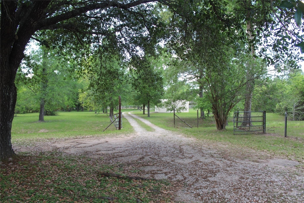9103 Pine Lane - Photo 1