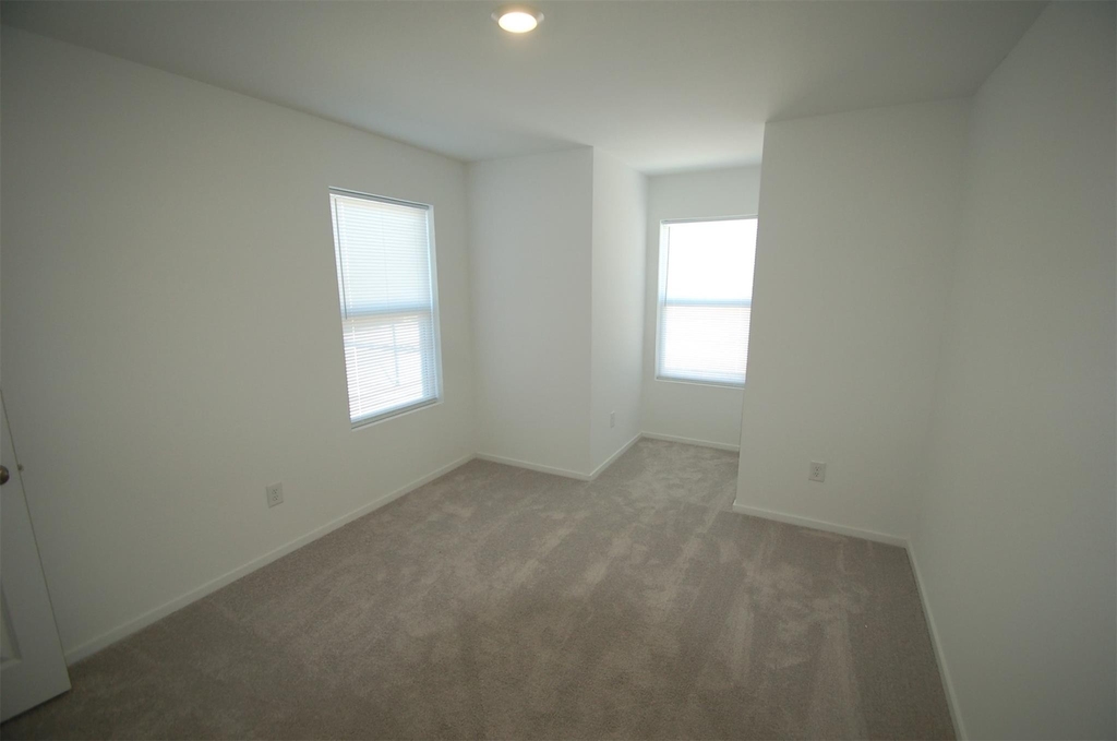 16219 Domestic Dove Way - Photo 10