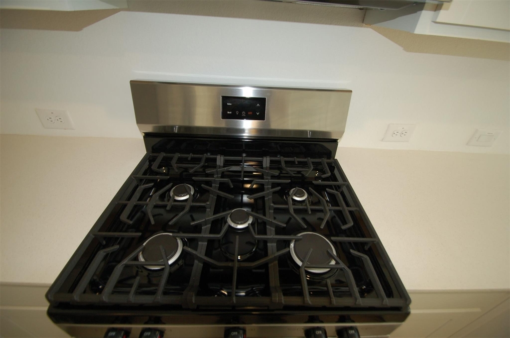 16219 Domestic Dove Way - Photo 3