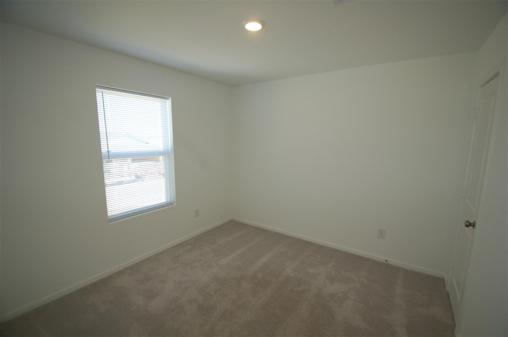 16219 Domestic Dove Way - Photo 13