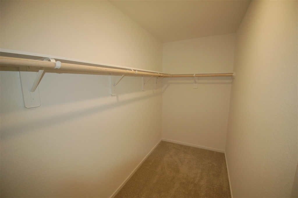 16219 Domestic Dove Way - Photo 8