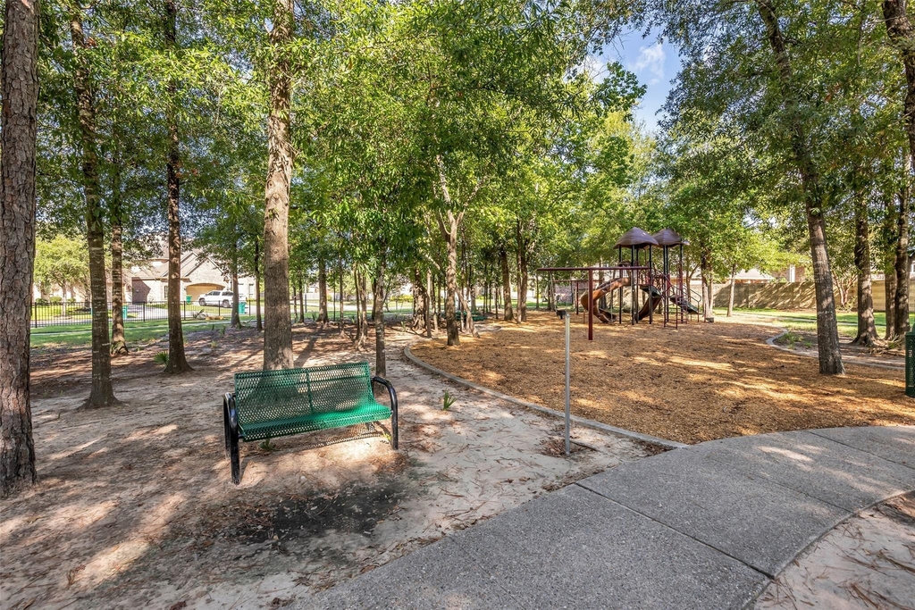 29011 Comal Karst Drive - Photo 38