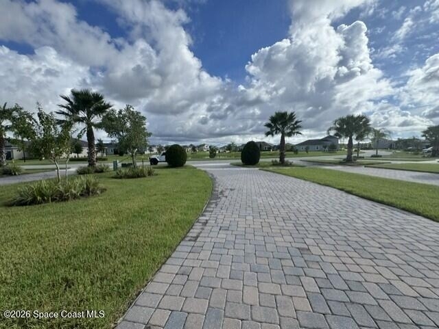 8008 Dobre Way - Photo 2