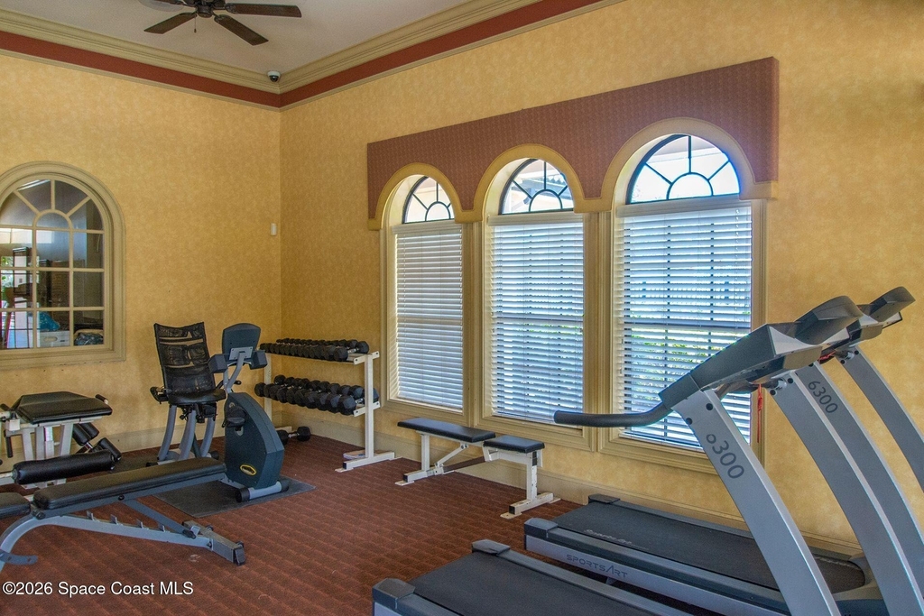 6411 Borasco Drive - Photo 35