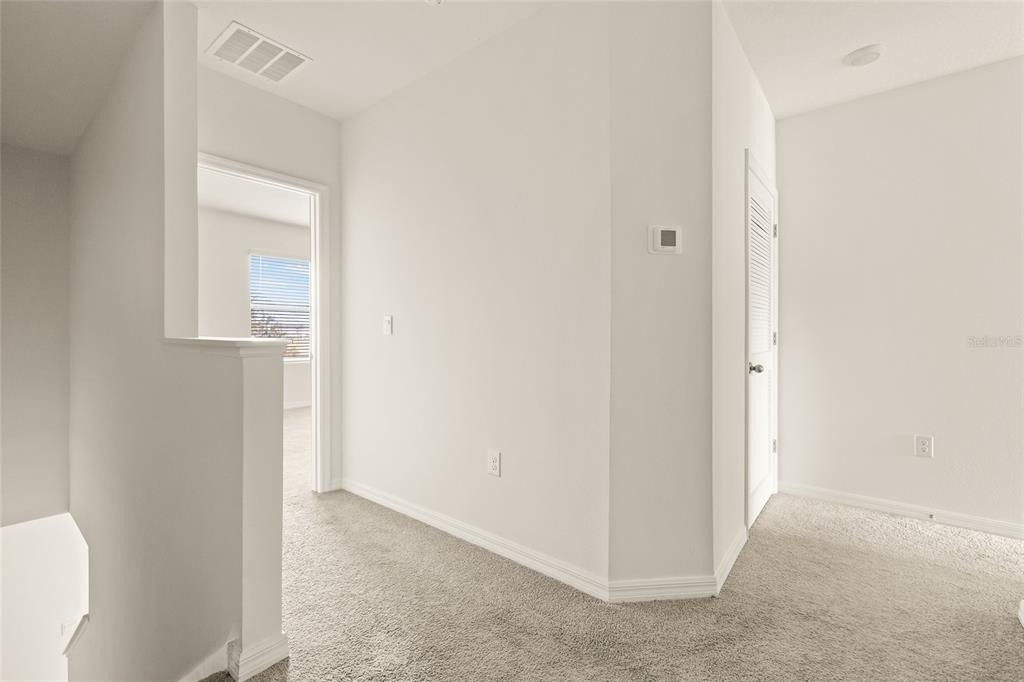 34395 Sorrel Mint - Photo 19