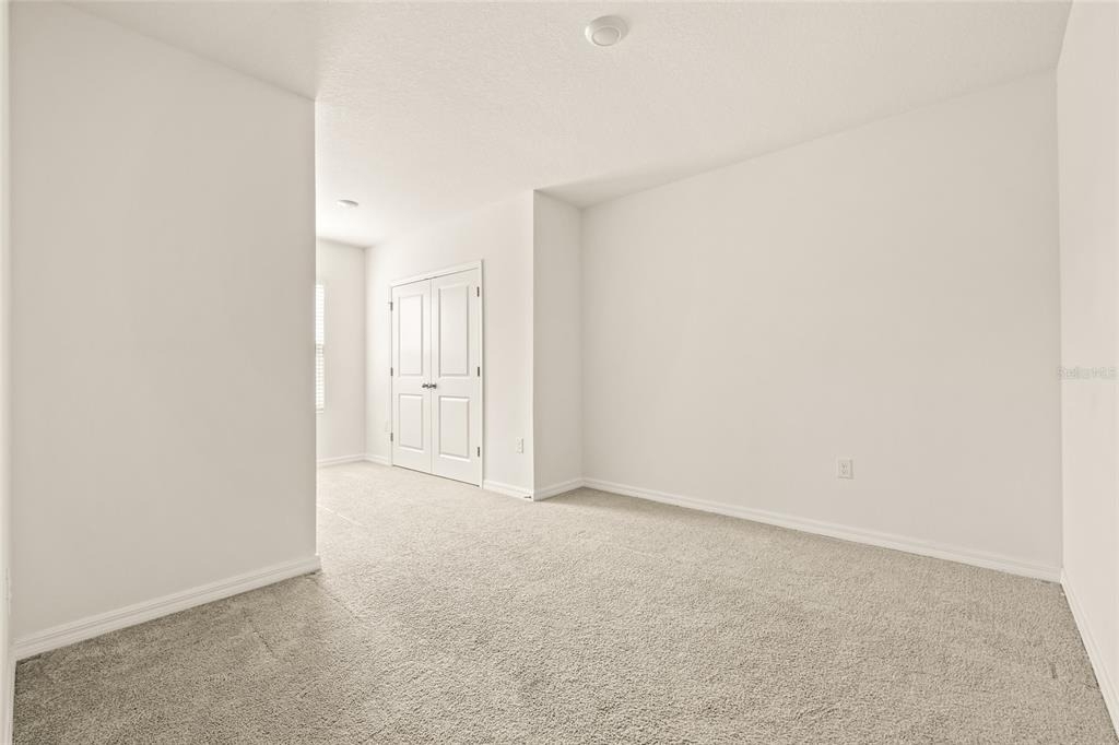 34395 Sorrel Mint - Photo 24