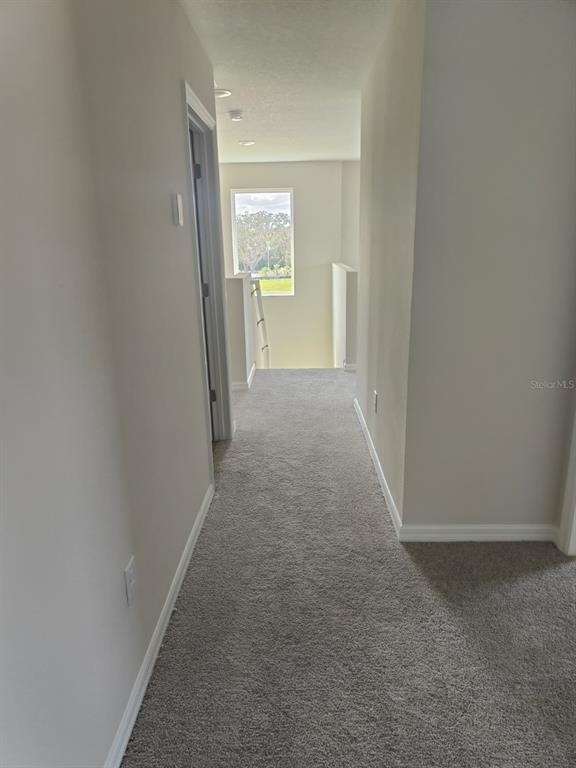 31650 Baronne St - Photo 15