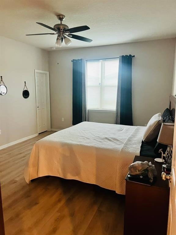 3911 Baja Drive - Photo 6