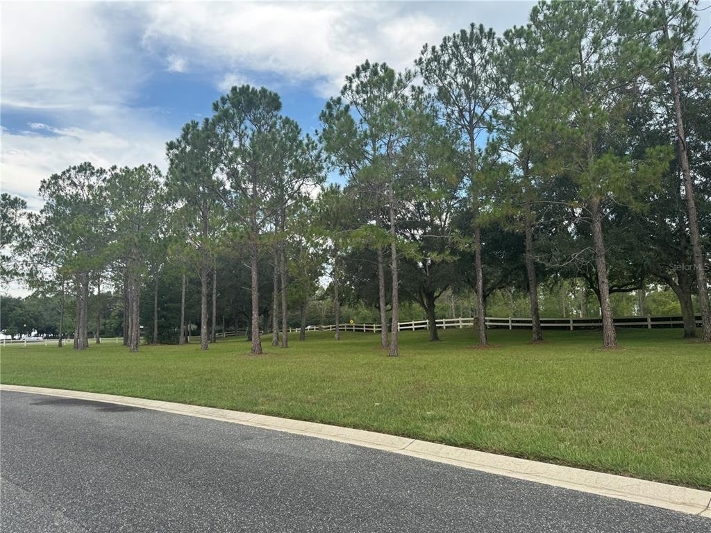 34314 Tuscany Avenue - Photo 45