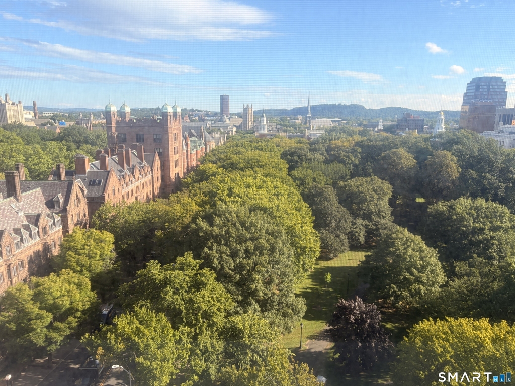 265 College Street - Photo 8