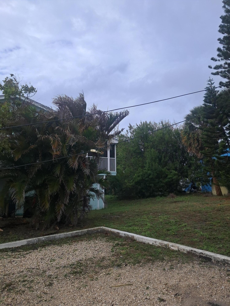 1140 Hernando Street - Photo 26