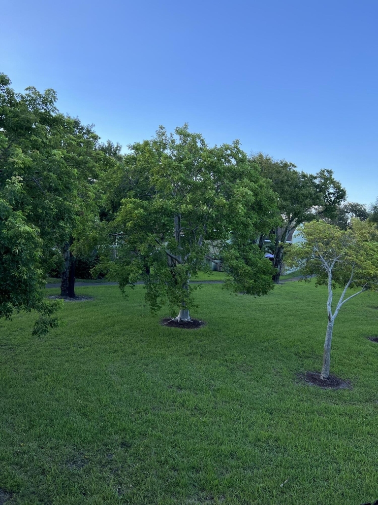 2800 S Oakland Forest Drive - Photo 22