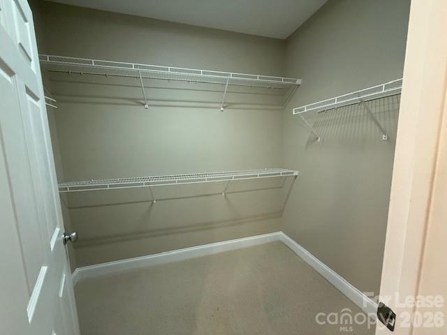 1000 E Woodlawn Road E - Photo 14