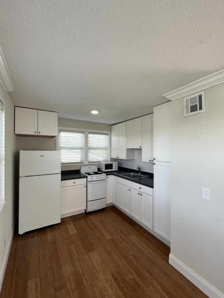 1140 Hernando Street - Photo 7