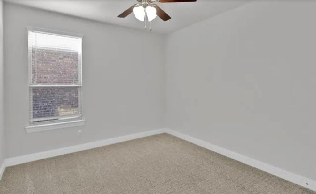 10905 Aledo Lane - Photo 12
