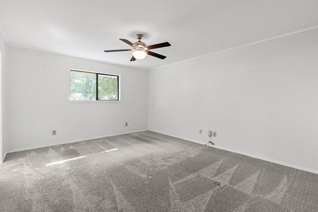 221 Azalea Drive - Photo 15