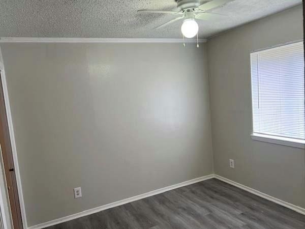 806 Phillips Drive - Photo 10