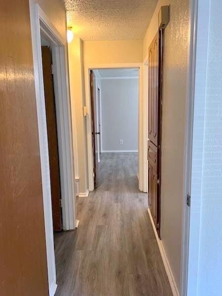 806 Phillips Drive - Photo 17