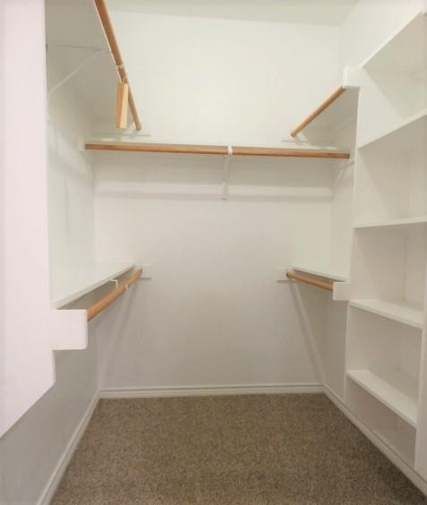 5547 Cecina Drive - Photo 11