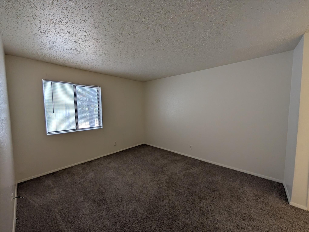 7431 Holly Hill Drive - Photo 7