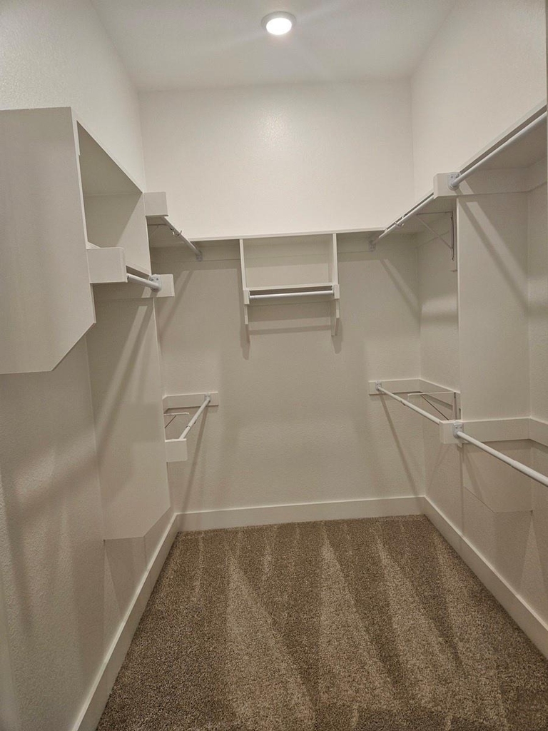 221 Chestnut Street - Photo 12