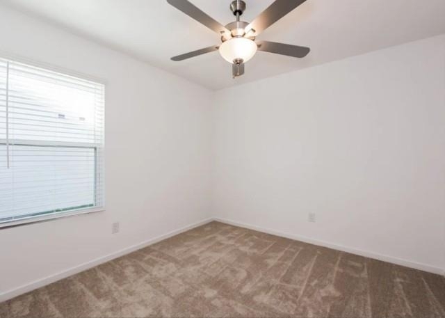 4024 Pleasant Shade Place - Photo 4