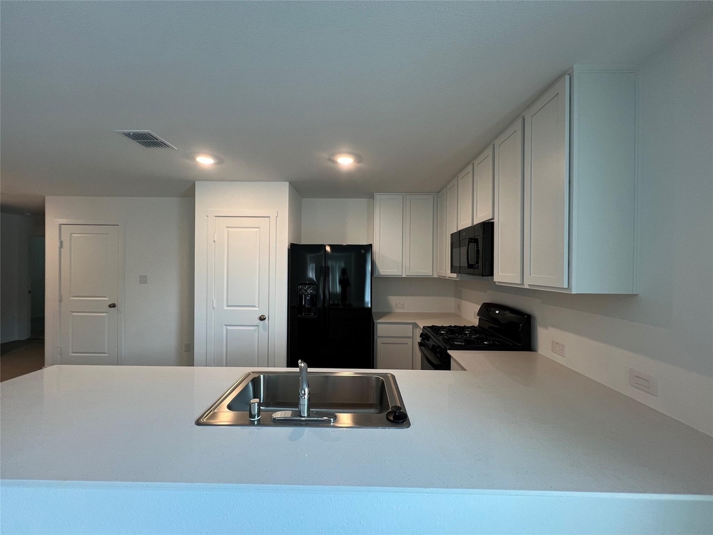 1529 Lanner Meadows Lane - Photo 4