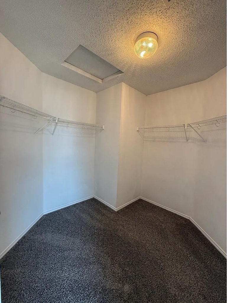 801 Flamingo Drive - Photo 23