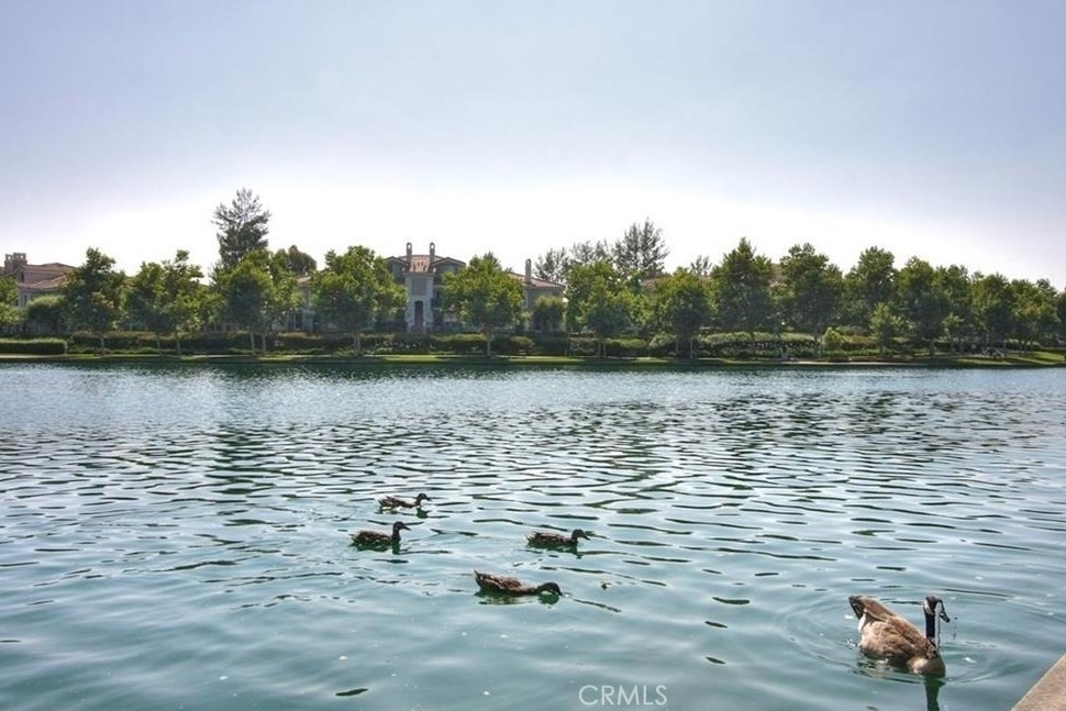 205 Montana Del Lago - Photo 53