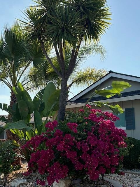 1562 Tobias Drive - Photo 1