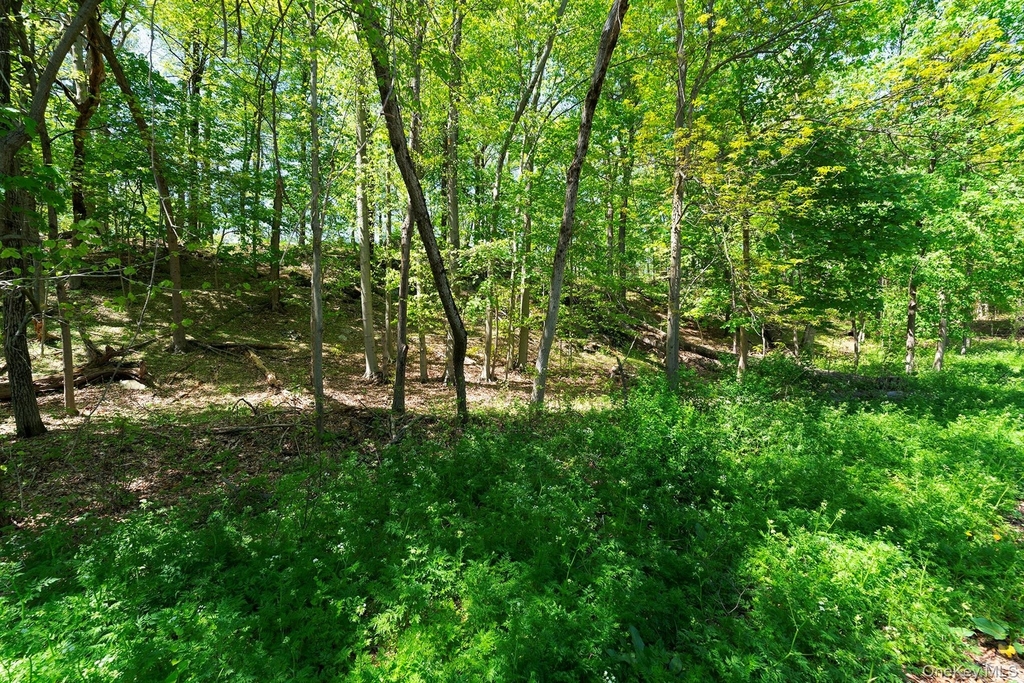 21 Van Dam - Photo 24