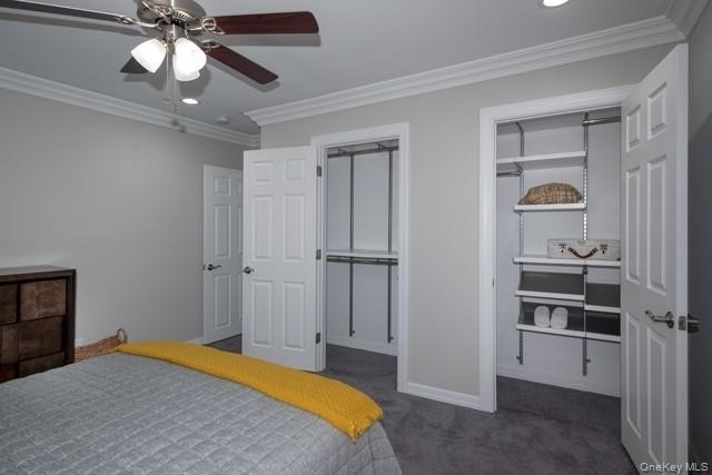 61 Old Oak Lane - Photo 3