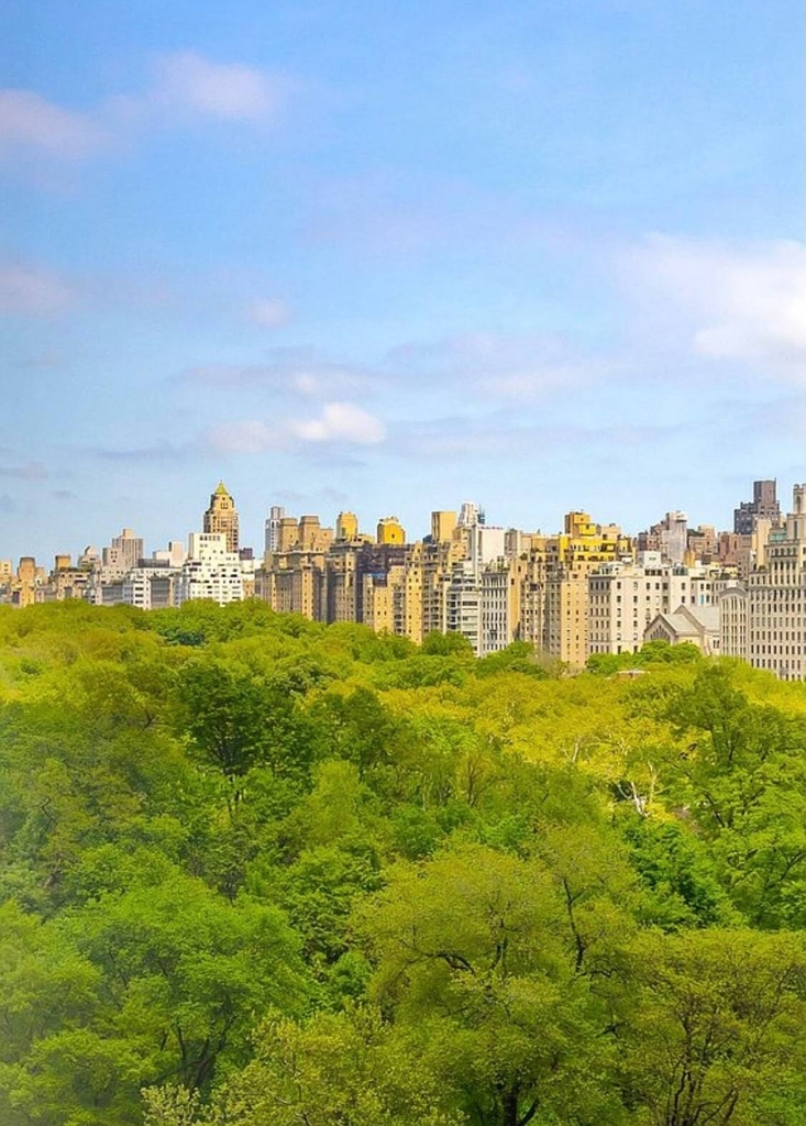 106 Central Park S - Photo 10