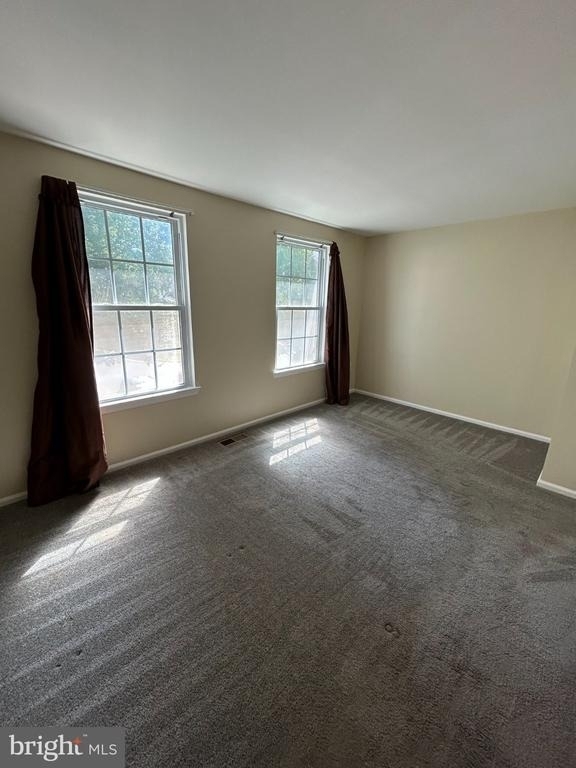 8447 Braxted Lane - Photo 16