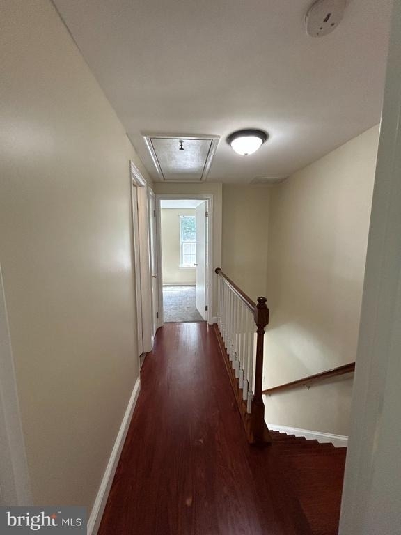 8447 Braxted Lane - Photo 12