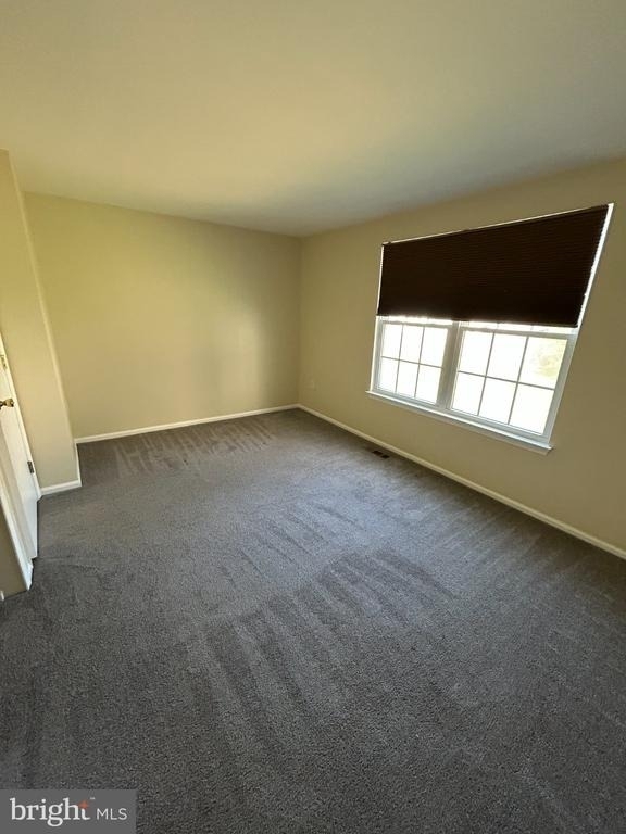 8447 Braxted Lane - Photo 14